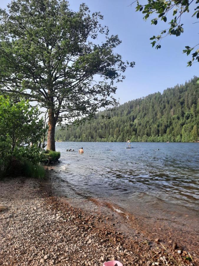 Au Coeur Des Lacs - Chambres D'Hotes Жерарме Экстерьер фото
